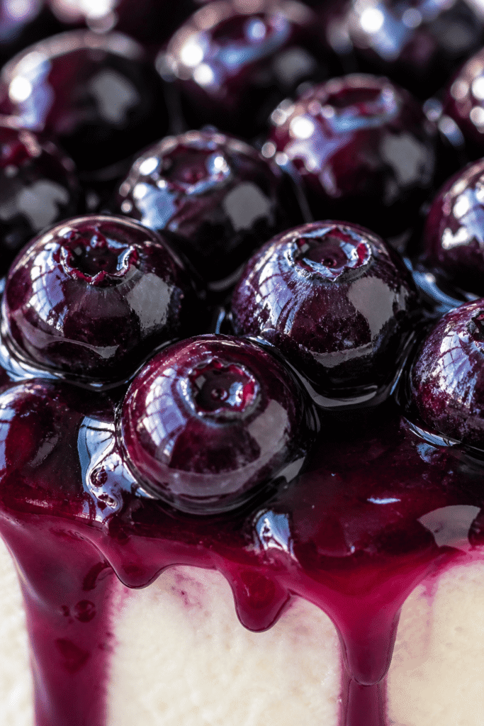 Blueberry Cheesecake Close-up