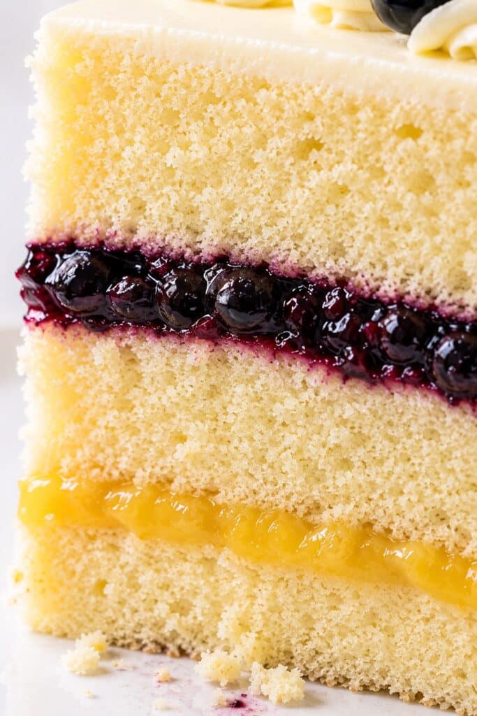 Lemon Blueberry Cake Crumb Close-up