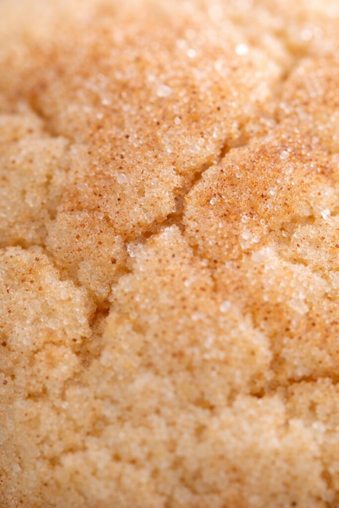 Close-up of snickerdoodle cookie with crackled cinnamon sugar top and visible sugar crystals