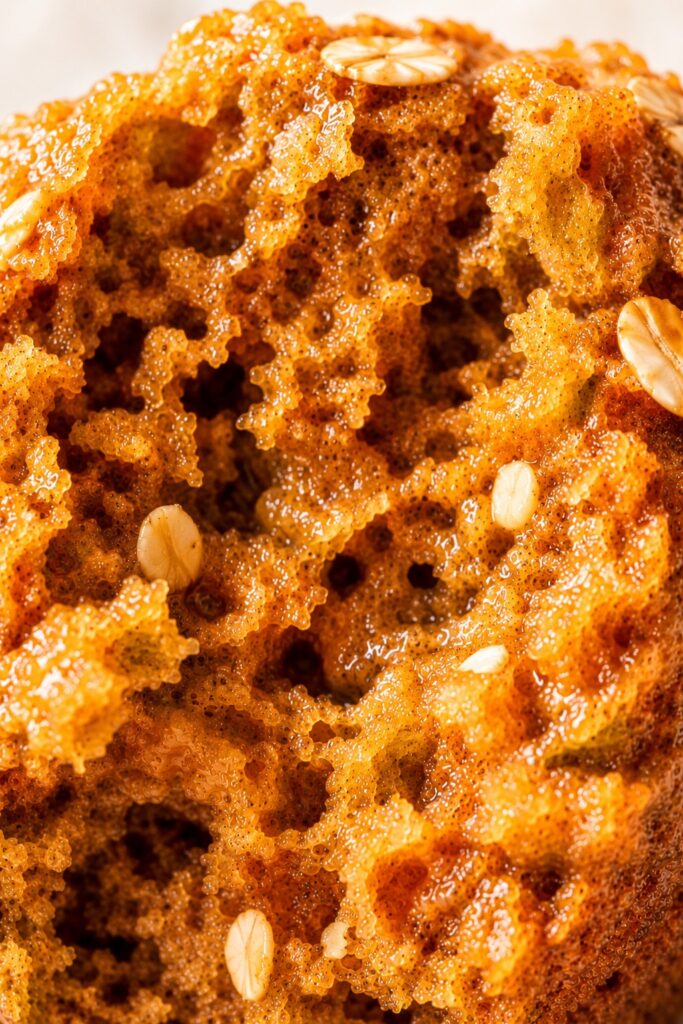 Pumpkin Oatmeal Muffins Crumb Texture Close-up