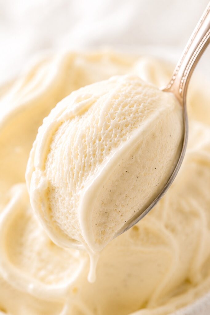 Cottage Cheese Ice Cream texture close-up